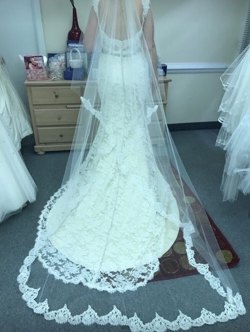 Thanks & final dress fitting!