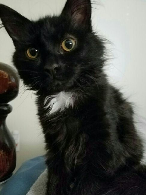 New Addition to our Family