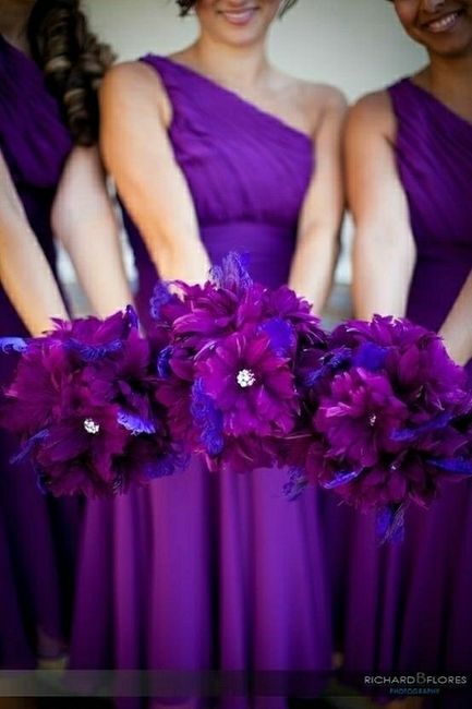 Color Inspiration