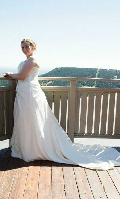 Dress size 14 - Street Size 12. Dress pics??