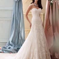 Freaking about weight loss and dress size!