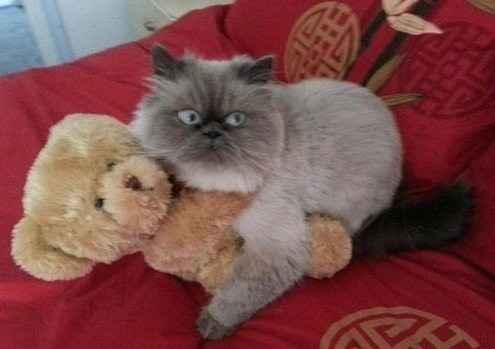 Destination Wedding - To Uninvite or Deal