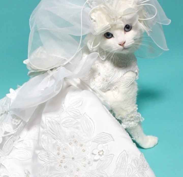 Postponing the wedding