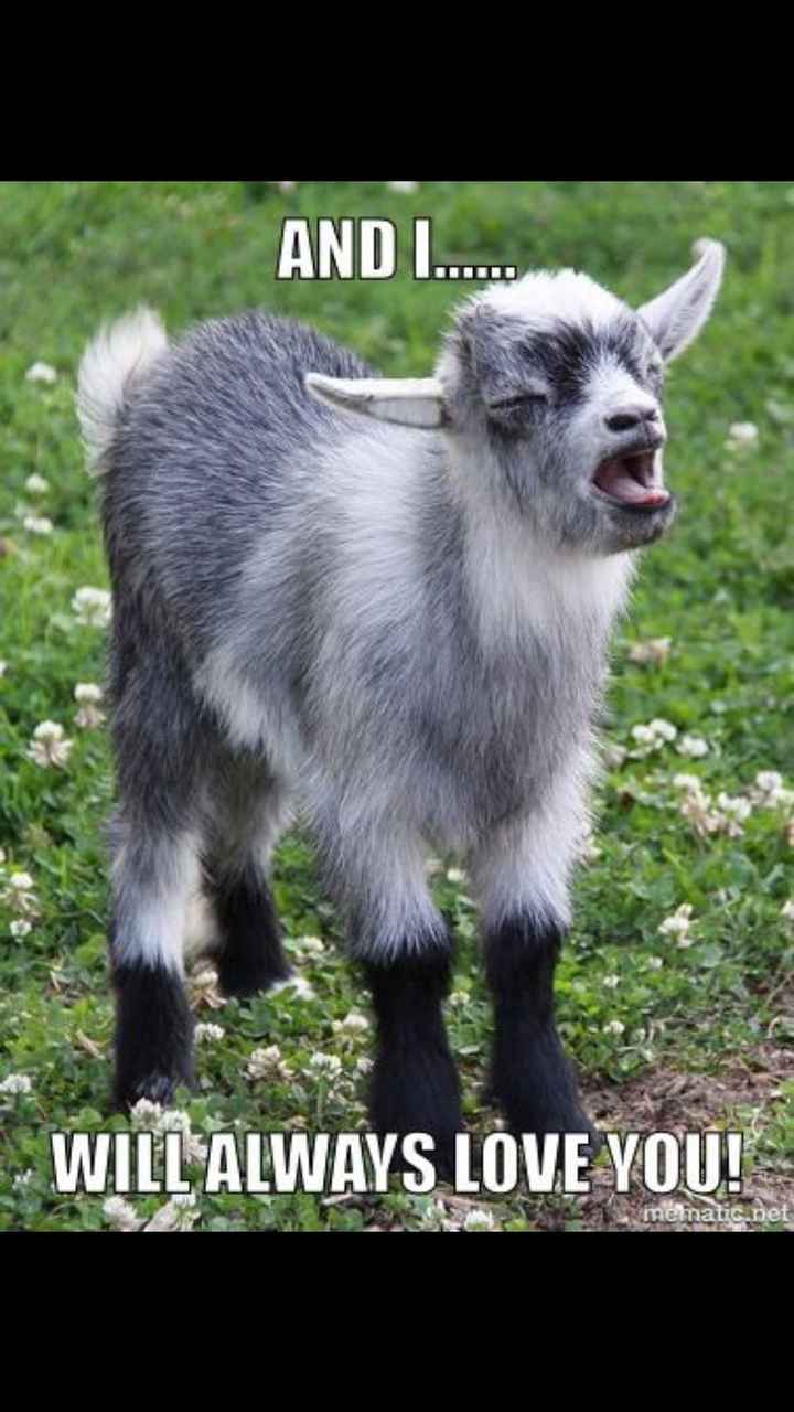 1 2 3 4 - I Declare a Meme War