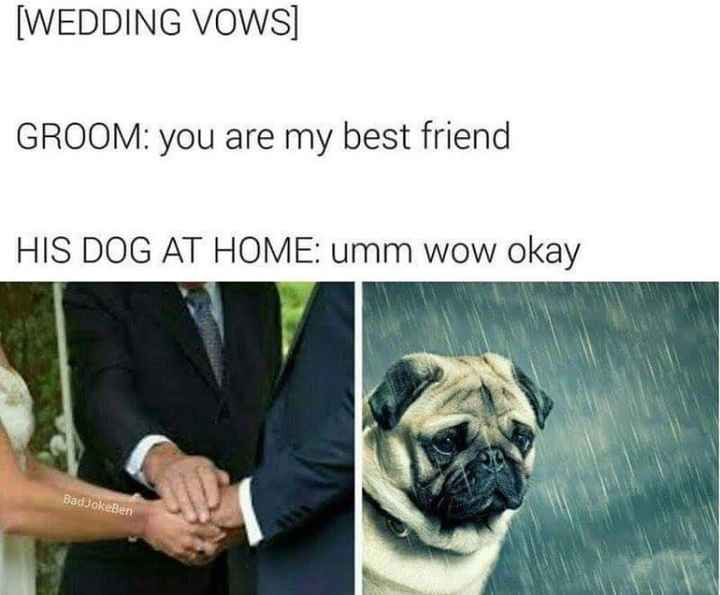 NWR: Best Wedding Wire Meme Friday