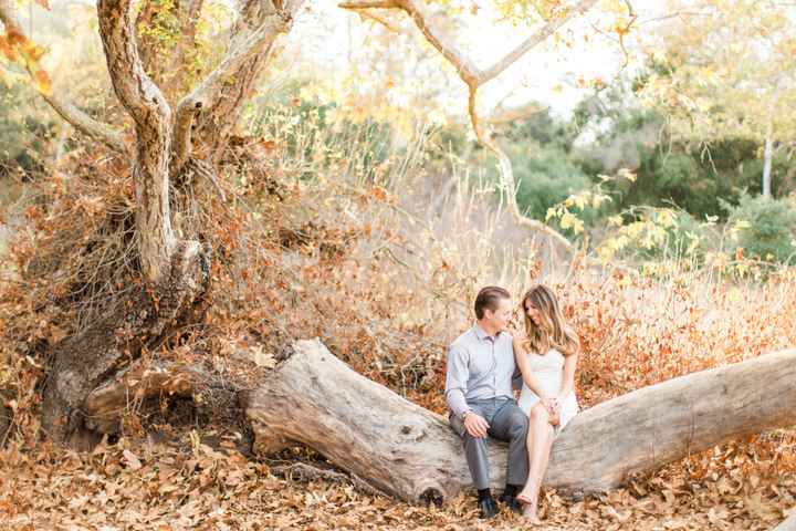 Formal engagement pictures