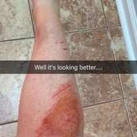 Well this happened last night....