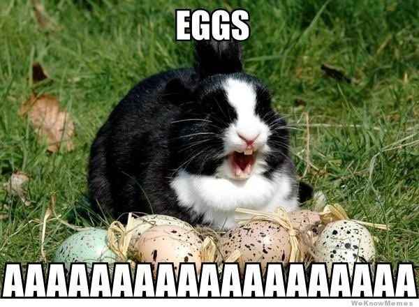 Happy Easter Meme!