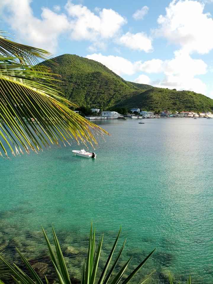 Now that pics are back, HM time!! PICAPALOOZA