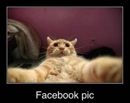 Cough cough cough