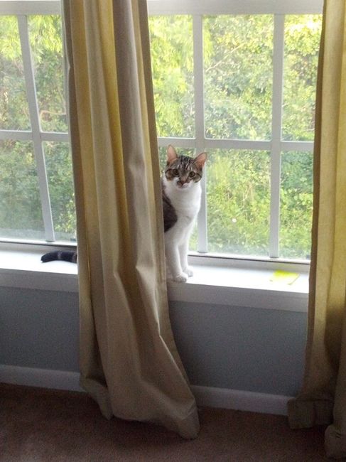 Show mee yourrr…..