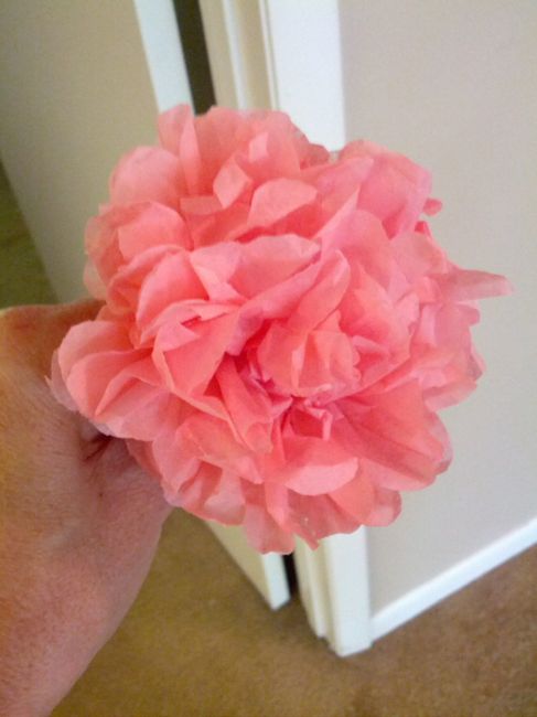 UPDATE - DIY - Poms!  NEW PICS