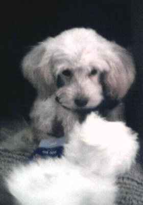 Lets introduce ourselves and lay it on the table