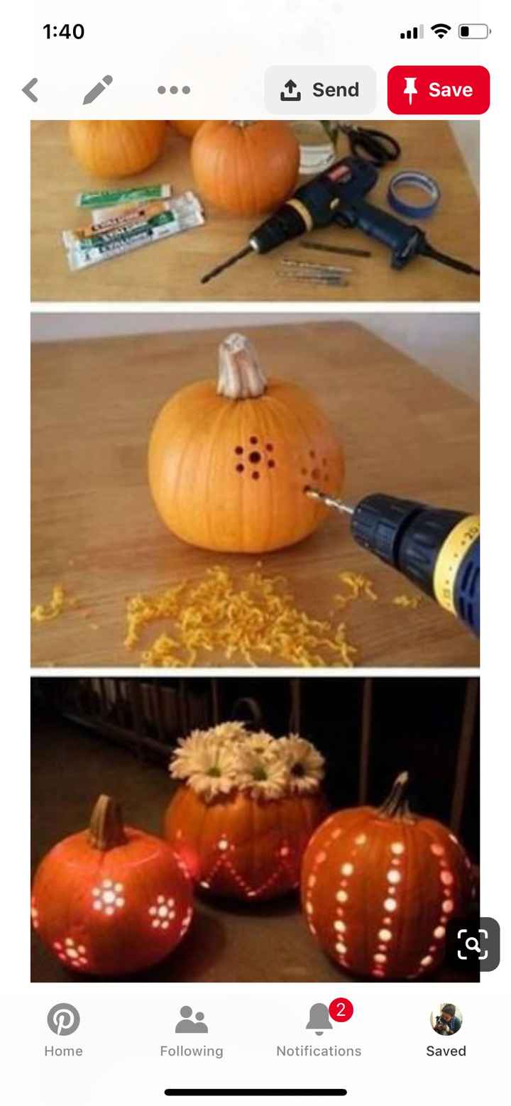 Pumpkins Made my Day!! - 1