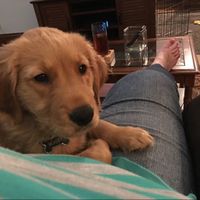 Show me your fur babies!