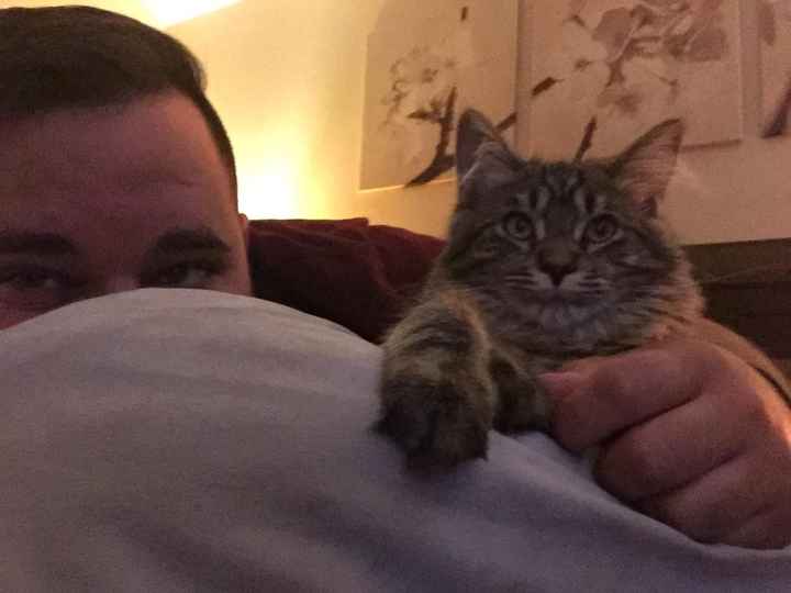 Shameless new kitten post: Meet Mischka!