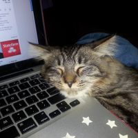 Has anyone made a Fursday thread yet?