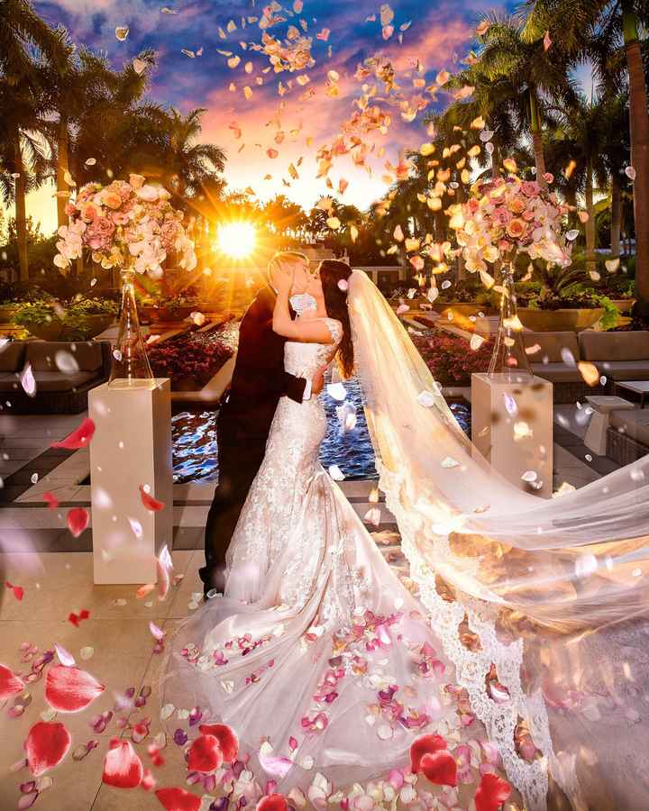 swfl Photography and Videography - 4