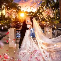 swfl Photography and Videography - 4