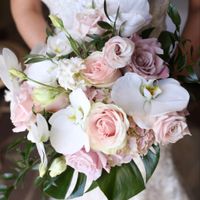 Biscotti Dresses - 1