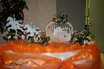 What are you guys using to collect cards at the reception?