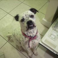 NWR: Lets see our pets!!