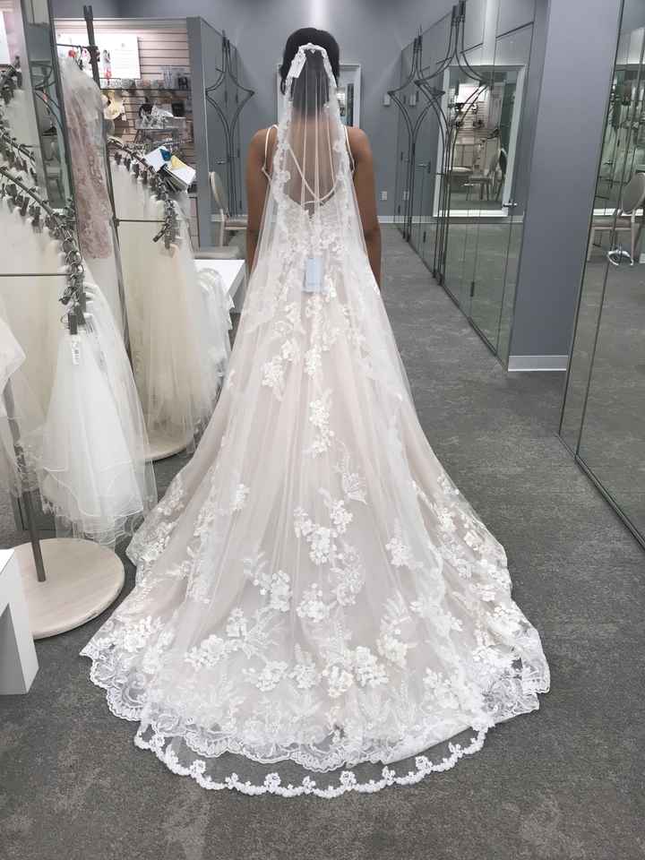 Lace veil or crystal lined veil? - 1
