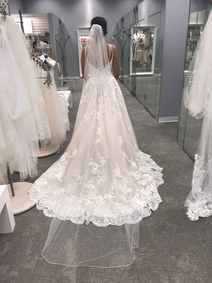 Lace veil or crystal lined veil? - 2