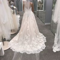 Lace veil or crystal lined veil? - 2