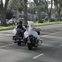 BIKER WEDDING THIS WEEK - SO EXCITED