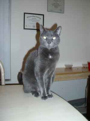 Furbabies!!! Lets show them off!
