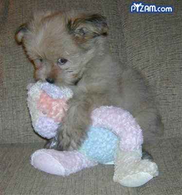 So in light of WW Support telling us to start fun and silly threads..