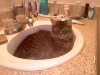 NWR: I want to see your pets!
