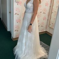 May 2020 brides show me that dress! - 2