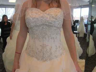 I SAID YES TO THE DRESS!!! (Pics)