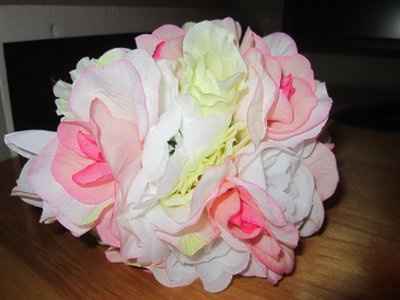 Another Practice Run *Pics*