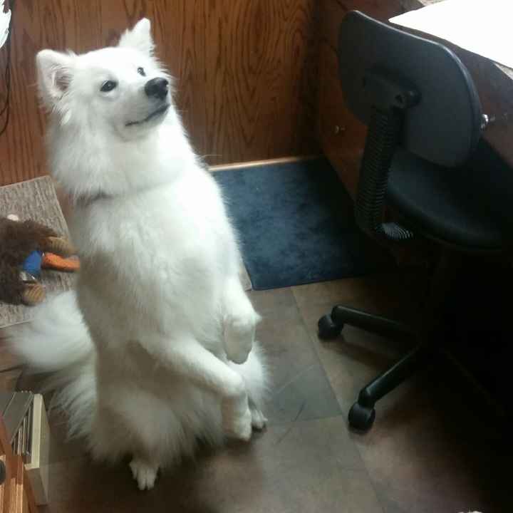 Need some positivity: Sick for the Wedding?