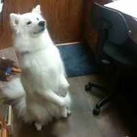 Need some positivity: Sick for the Wedding?