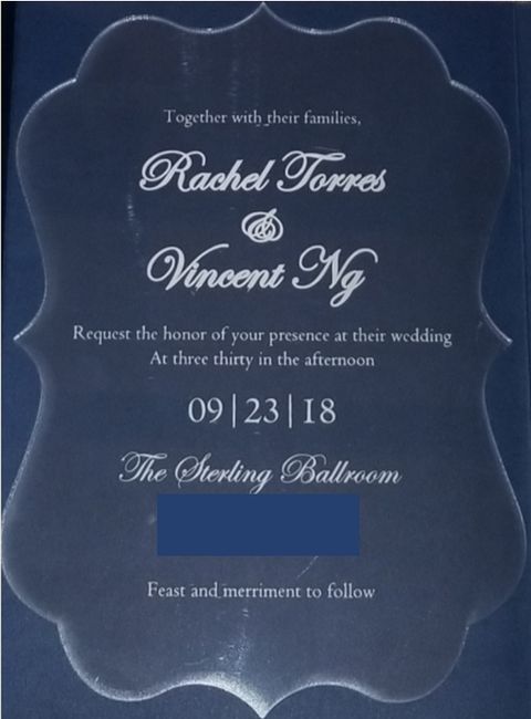 Ring Bearer Pillows 6