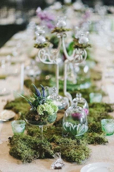 Ideas for decorating my Venue to seem more "natural"?