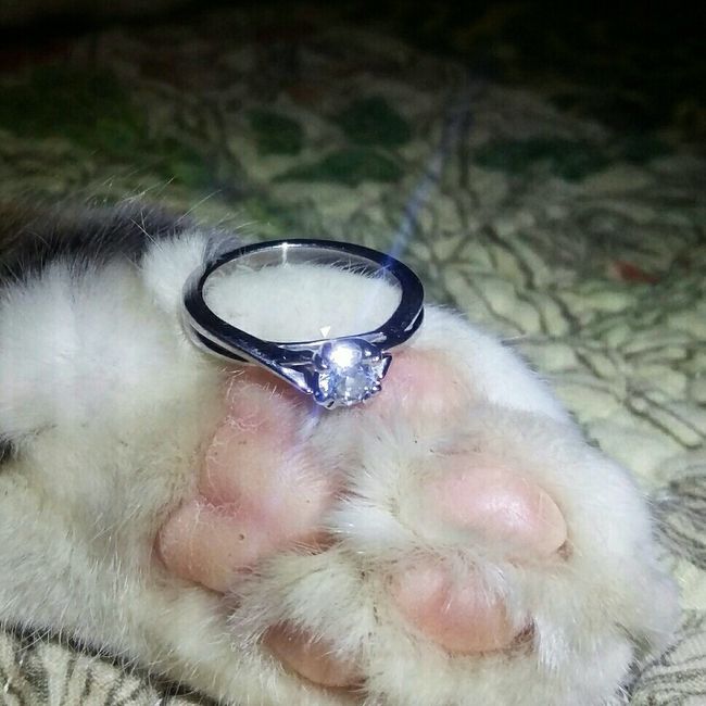 Engagement ring pictures?