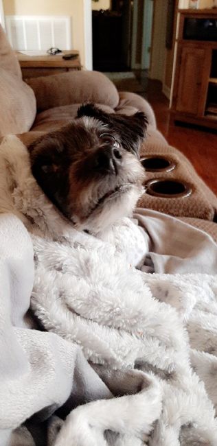 Show me your fur babies you and your SO have together! 3
