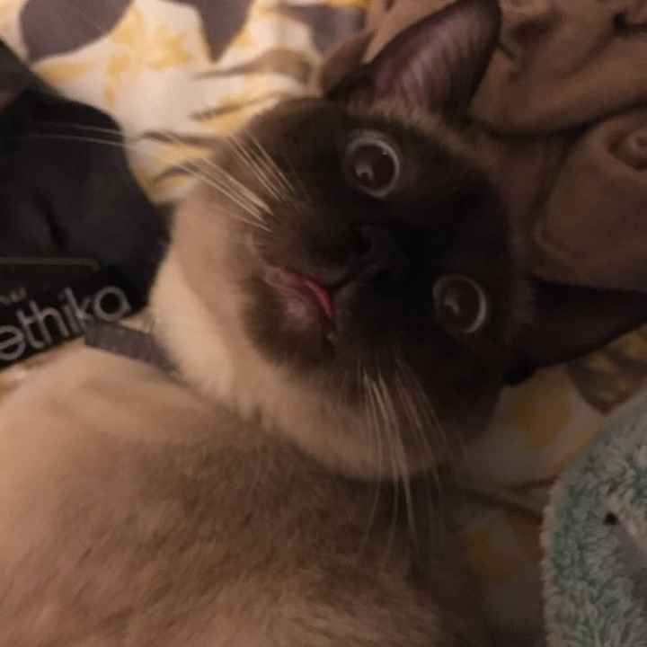 New Addition to our Family