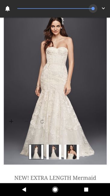 Dress and veil have been paid off!!