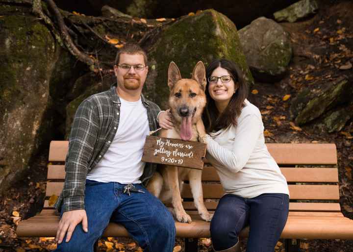 Engagement photos w/ dogs - 2