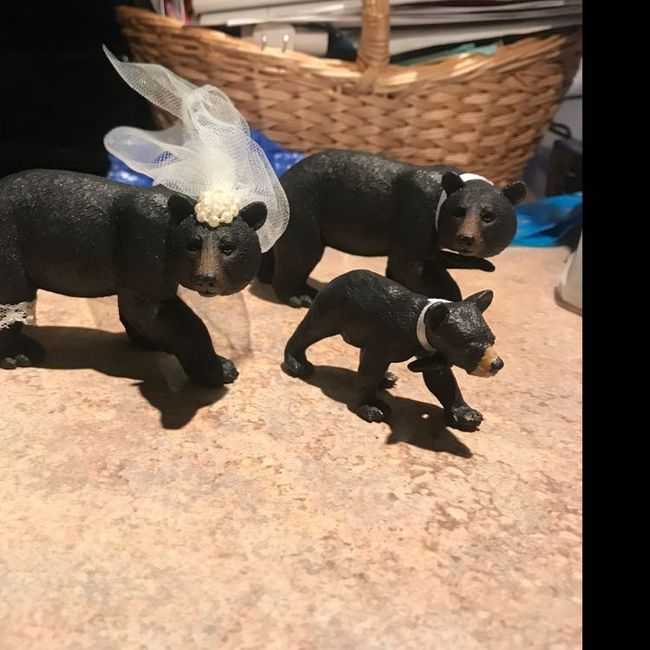 Unique cake toppers! Let's see yours, and your inspirarions! - 1