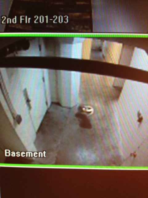 NWR: Scary Stories/Photos