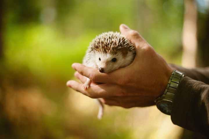 The rest of my pro e-pics!!! (VERY pic heavy!)