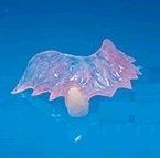 wedding emergency!!!