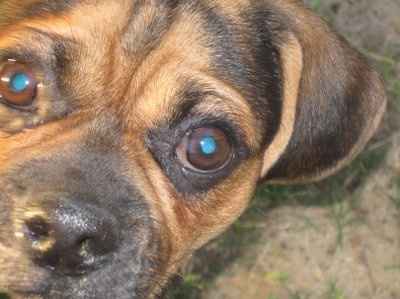 Let's get to know each other ladies!